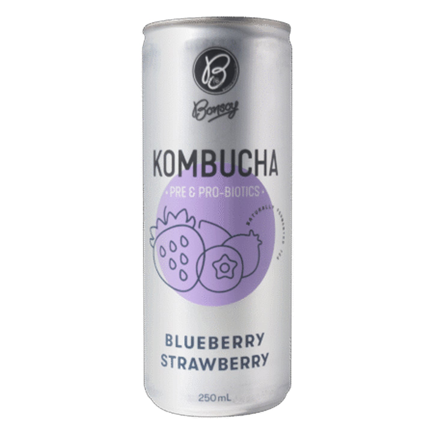 Kombucha - Blueberry Strawberry