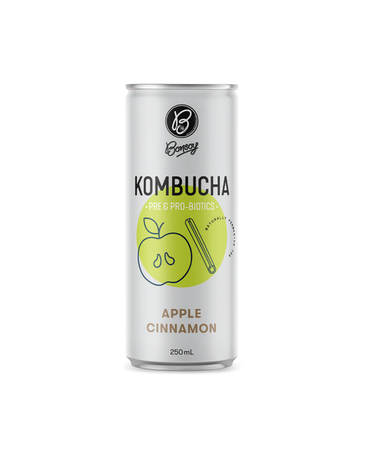 Bonsoy Kombucha - Apple Cinnamon