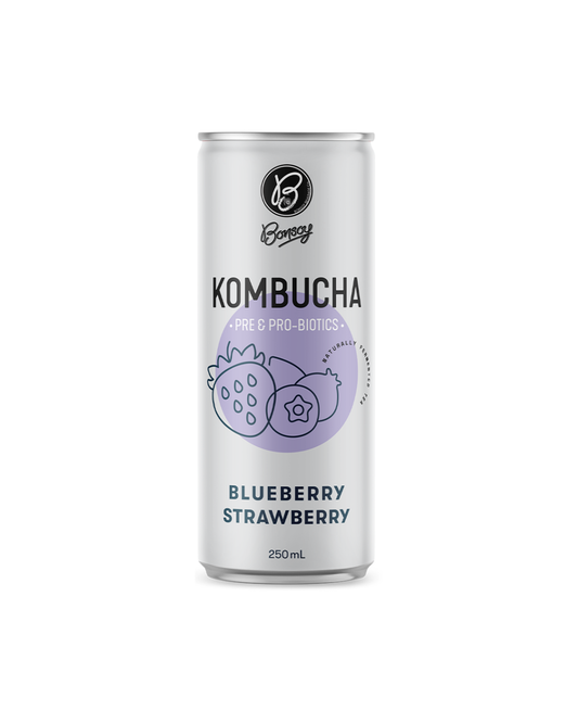 Bonsoy Kombucha - Blueberry Strawberry