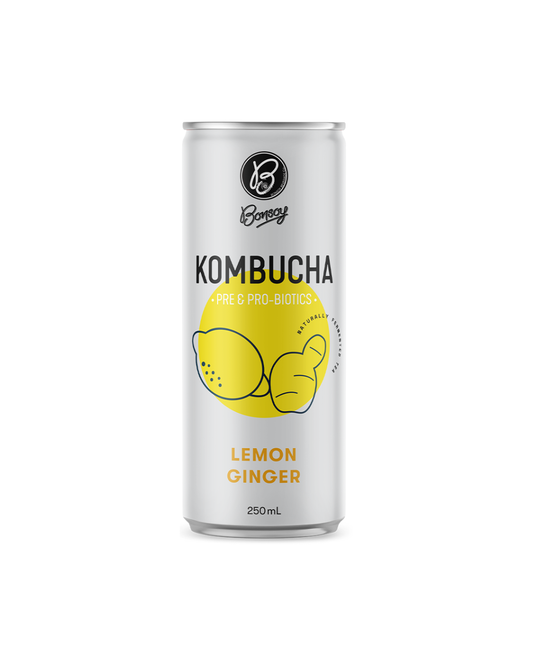 Bonsoy Kombucha - Lemon Ginger